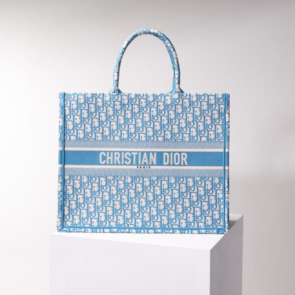 Dior Book Tote