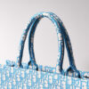 Dior Book Tote