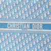 Dior Book Tote