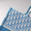 Dior Book Tote