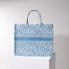 Dior Book Tote