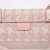 Dior Book Tote