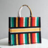 Dior Book Tote