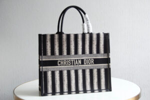 Dior Book Tote