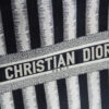 Dior Book Tote