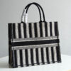 Dior Book Tote