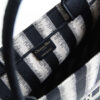 Dior Book Tote