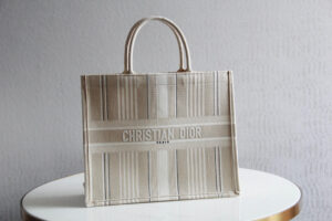 Dior Book Tote
