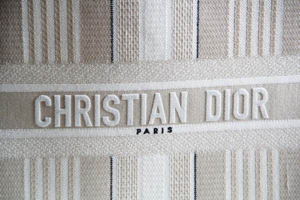 Dior Book Tote