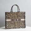 Dior Book Tote