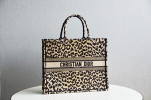 Dior Book Tote