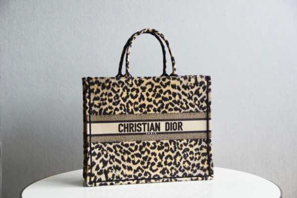 Dior Book Tote