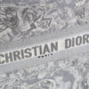 Dior Book Tote