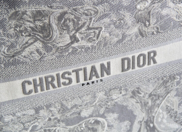 Dior Book Tote