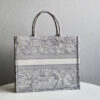 Dior Book Tote