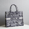 Dior Book Tote