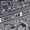 Dior Book Tote