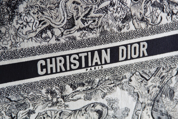 Dior Book Tote