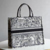 Dior Book Tote
