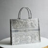 Dior Book Tote