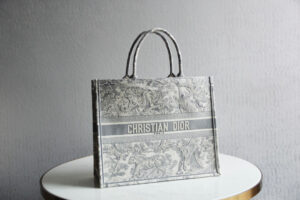 Dior Book Tote