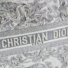 Dior Book Tote