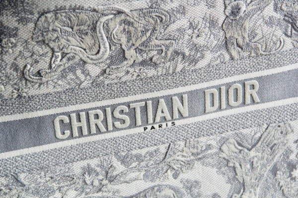 Dior Book Tote