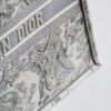 Dior Book Tote