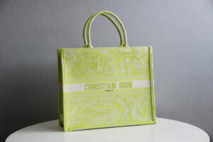 Dior Book Tote