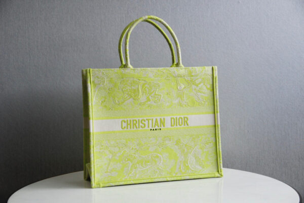 Dior Book Tote