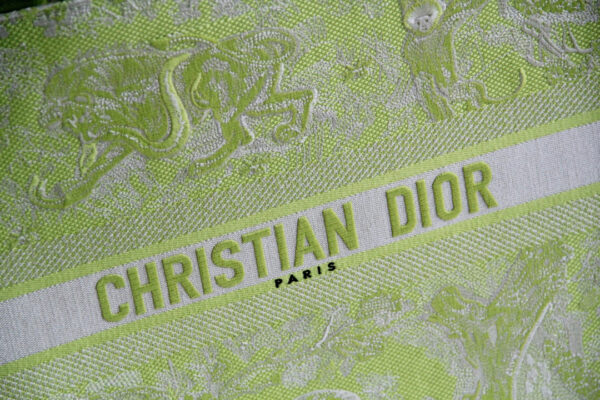 Dior Book Tote