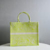 Dior Book Tote