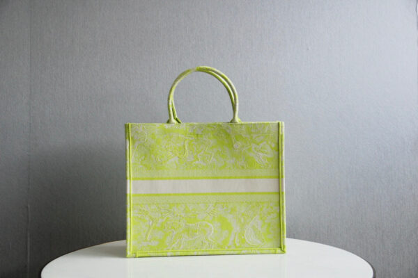 Dior Book Tote
