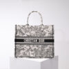 Dior Book Tote