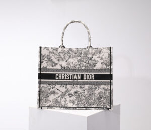 Dior Book Tote