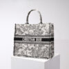Dior Book Tote