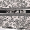 Dior Book Tote