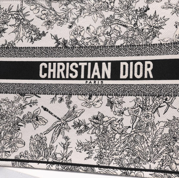 Dior Book Tote