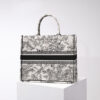Dior Book Tote