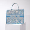 Dior Book Tote