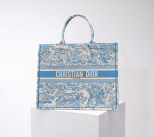 Dior Book Tote