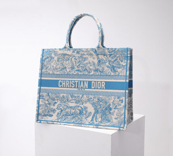 Dior Book Tote