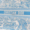 Dior Book Tote