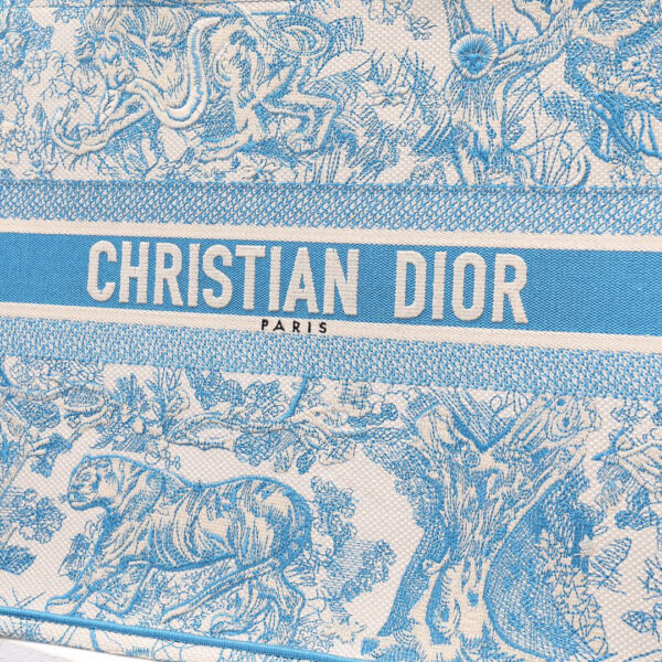 Dior Book Tote