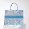 Dior Book Tote