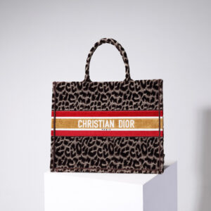 Dior Book Tote