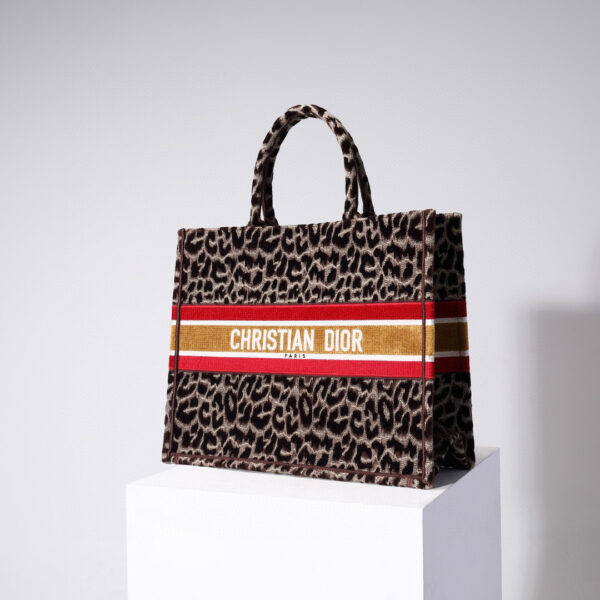 Dior Book Tote