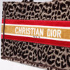 Dior Book Tote