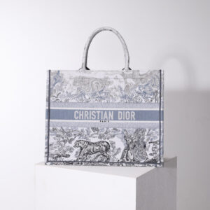 Dior Book Tote