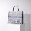 Dior Book Tote